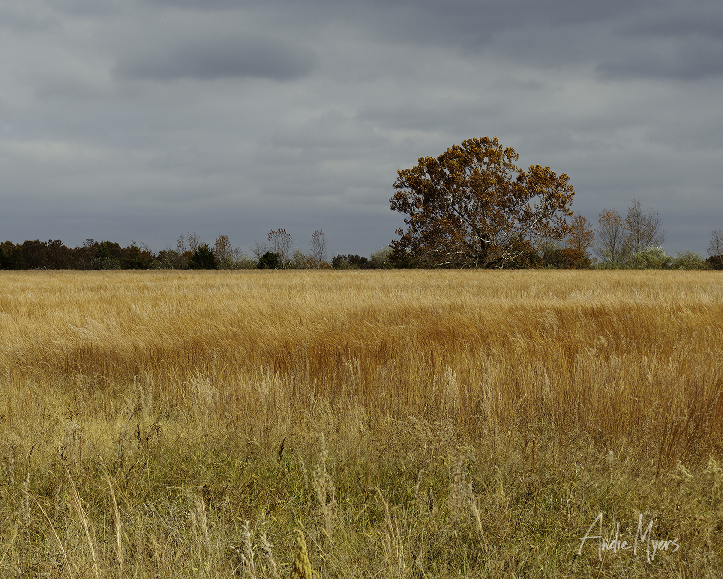 Fredericktown Missouri